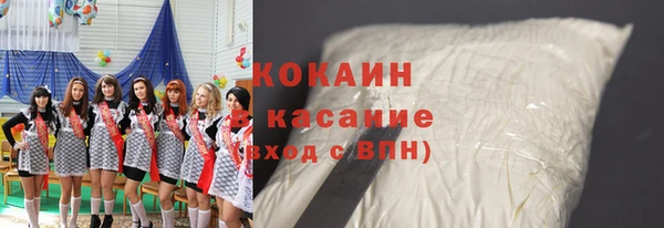 сатива Кукмор