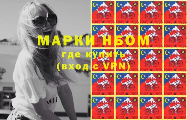 шишки Куйбышев