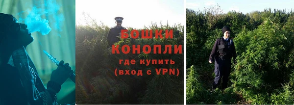 шишки Куйбышев
