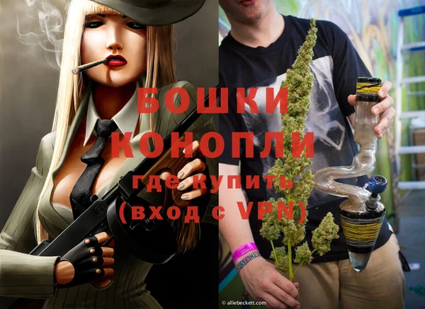 шишки Куйбышев